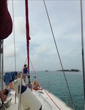 by sheree, Views[224]