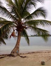 by sheree, Views[253]