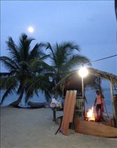 by sheree, Views[250]