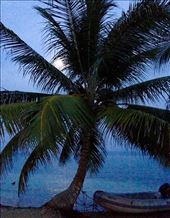 by sheree, Views[236]