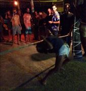 by sheree, Views[252]