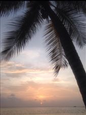 by sheree, Views[217]