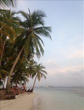 by sheree, Views[337]