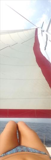 by sheree, Views[326]