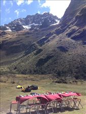 by sheree, Views[254]