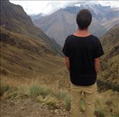 by sheree, Views[391]