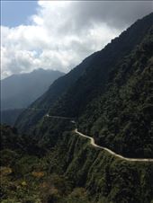 by sheree, Views[440]