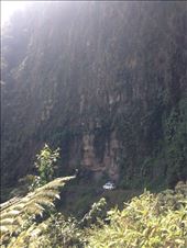 by sheree, Views[468]