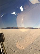 by sheree, Views[224]