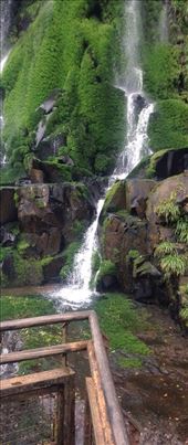 by sheree, Views[221]