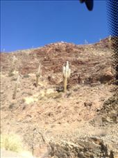 by sheree, Views[157]