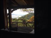 by sheree, Views[181]