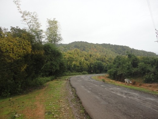 SCENIC VIEW WHILE RIDING TO THE HILLS...