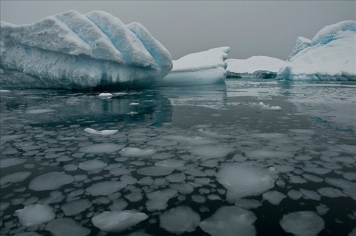 WELCOME TO THE WHITE CONTINENT - 

This is a scene one can gaze upon endlessly  with no intention of looking away. 'Pancake' ice are the telltale signs of the oncoming winter as the sea freezes up, and the mounds of ice make everywhere the eye can see picture perfect in this magnificent place. Truly one for the books, Antarctica is out of this world with its pristine environment to the extensive wildlife. Governed by the Antarctic Treaty System established in 1959, Antarctica is out of bounds for any military activity, mining or drilling which truly makes it a sole part of Mother Nature herself.