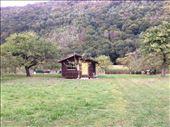 by shire_girl, Views[499]