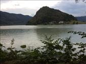 by shire_girl, Views[408]