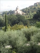 by shire_girl, Views[179]