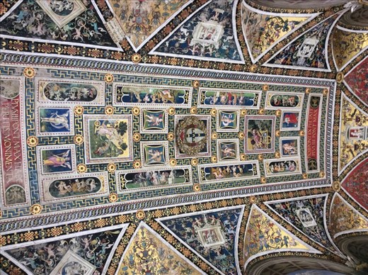 Ceiling in the room of the 3 statues in the Siena Cathedral. The wall depicted the life of a Pope (If I recall correctly).
