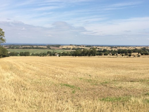 Scenery from the bike ride. 