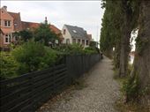 Virgin's lane.: by shire_girl, Views[333]