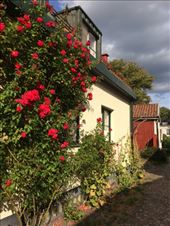 by shire_girl, Views[192]