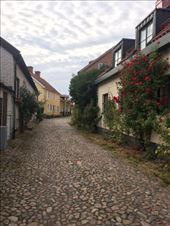 The very popular cobble lanes in the Old Town.: by shire_girl, Views[221]