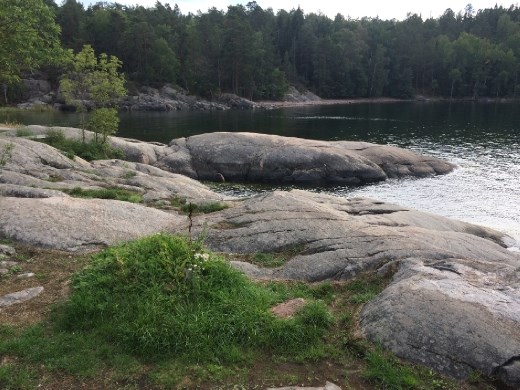 Perfect place for a picnic.