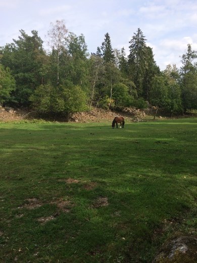 The island of Grinda.