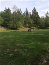 The island of Grinda.: by shire_girl, Views[426]