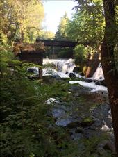 The walk by the river from the Grunnerlokka neighborhood into Oslo.: by shire_girl, Views[236]