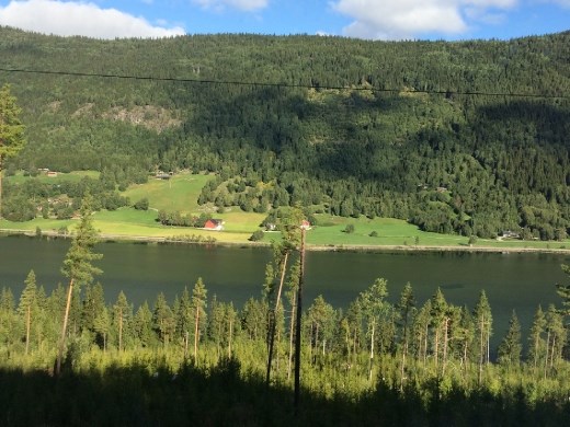 From the train window heading west from Oslo.