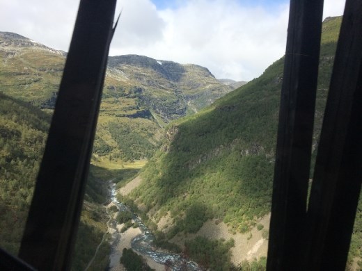 From the cog train on the way to Flam.