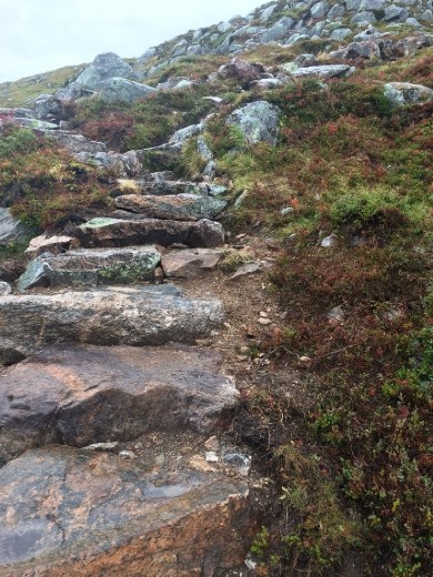 The last part of the ascent on our hike.