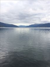 by shire_girl, Views[189]