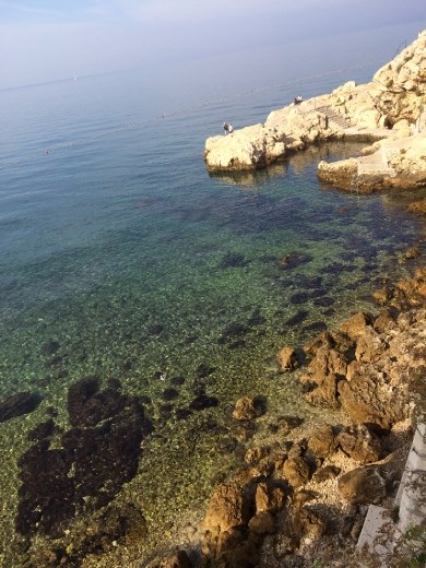 What amazingly clear water!