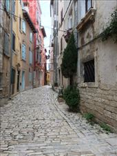 by shire_girl, Views[172]