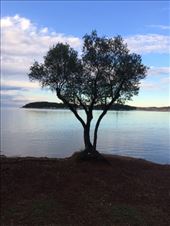 by shire_girl, Views[203]