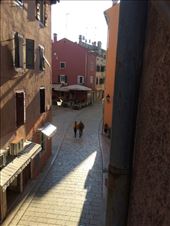 The view from our window!: by shire_girl, Views[426]