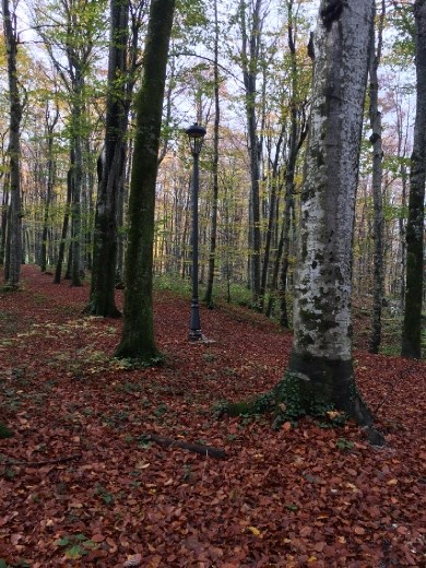 Off the beaten trail; hiking in Plitvice.