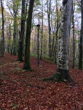 Off the beaten trail; hiking in Plitvice.: by shire_girl, Views[224]