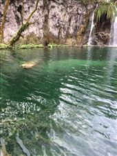 by shire_girl, Views[220]