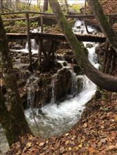 by shire_girl, Views[214]