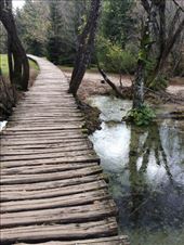 by shire_girl, Views[210]