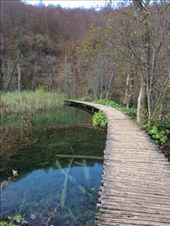 by shire_girl, Views[183]