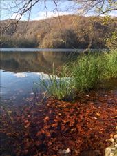 by shire_girl, Views[203]