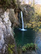 by shire_girl, Views[225]