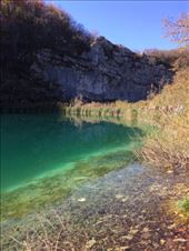 by shire_girl, Views[193]