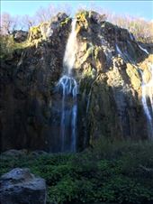 by shire_girl, Views[225]