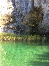 by shire_girl, Views[226]