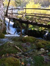 by shire_girl, Views[219]